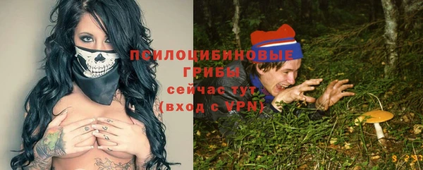 МДПВ Иннополис