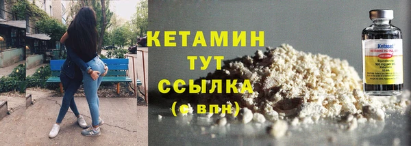 крисы Кодинск