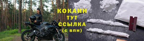 эйфоретик Инсар