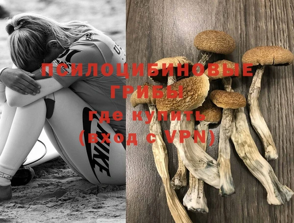 марихуана Абаза