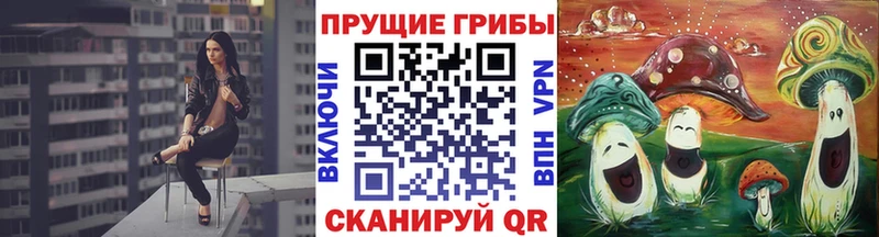 купить закладку  Задонск  Псилоцибиновые грибы Magic Shrooms 